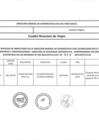 Vista preliminar de documento 747-2019 ANEXO.pdf