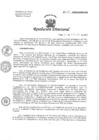 Vista preliminar de documento RESOLUCIN DIRECTORAL N° 233.pdf