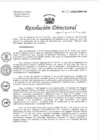 Vista preliminar de documento RESOLUCION DIRECTORAL N° 245.pdf