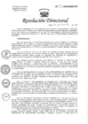 Vista preliminar de documento RESOLUCIÓN DIRECTORAL N° 249.pdf