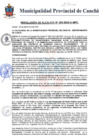 Vista preliminar de documento 393.PDF