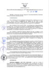 Vista preliminar de documento RER N° 557-2022.pdf