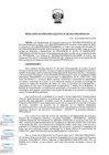 Vista preliminar de documento RDE N° 086-2022-PROCIENCIA-DE.pdf