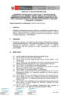 Vista preliminar de documento LINEAMIENTO INTERNO PARA LA CONTRATACIÓN DE PERSONAL CAS EN EL PROGRAMA PROCIENCIA.pdf