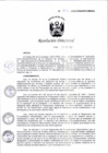 Vista preliminar de documento RD_782_2022_CENARES.pdf