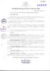 Vista preliminar de documento DECRETO-004-2013-MPC.pdf