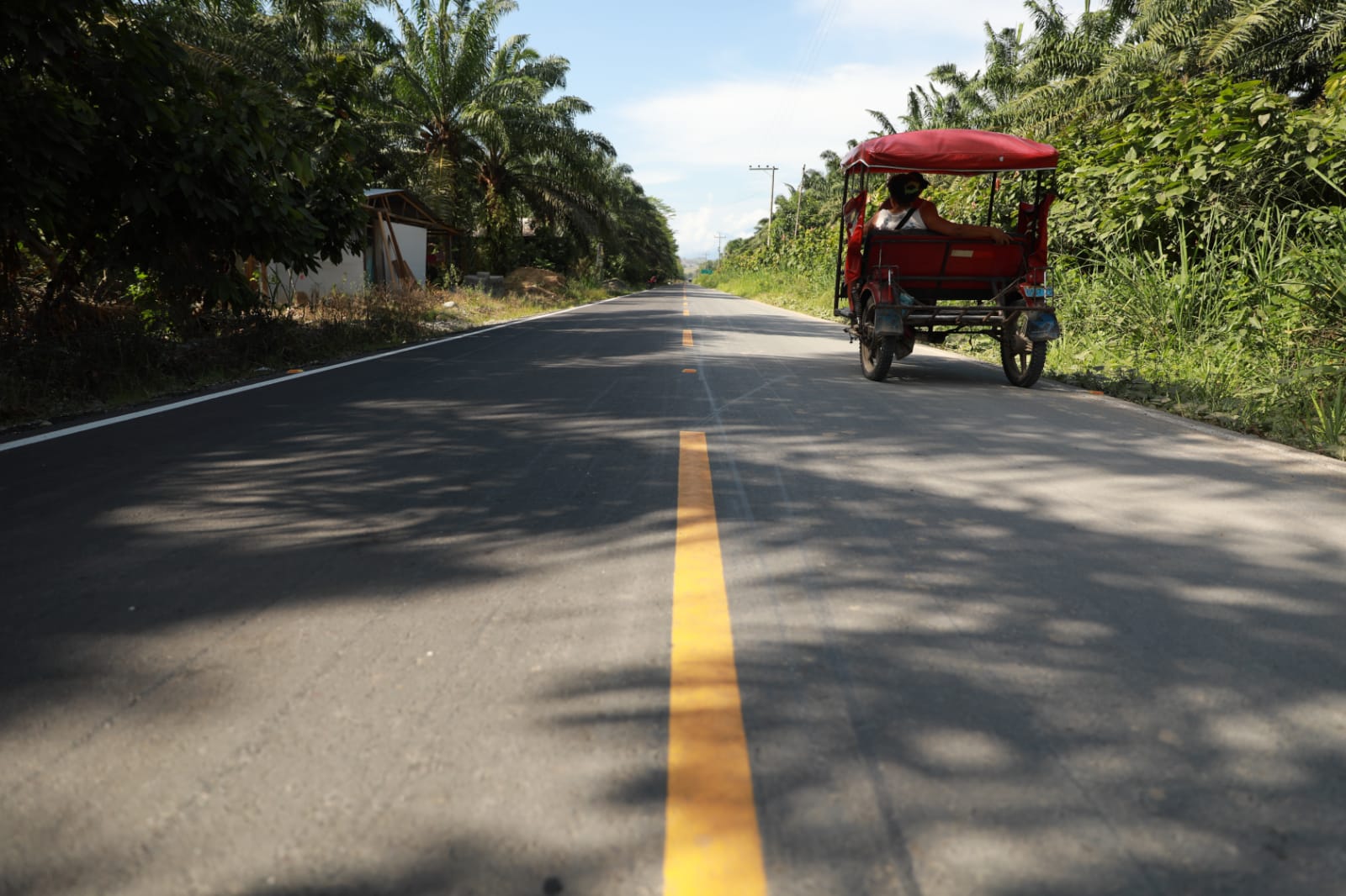 Carretera asfaltada