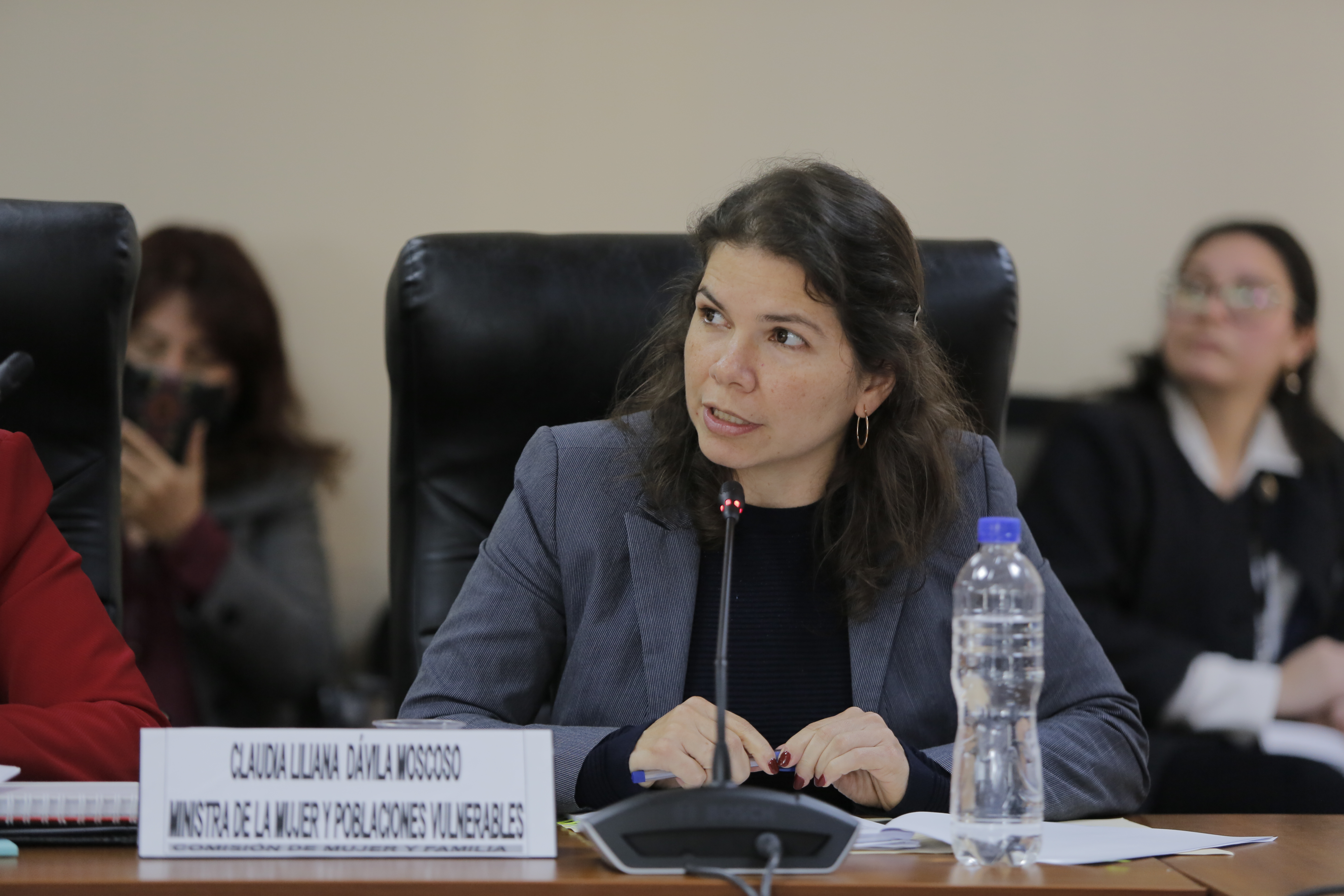 Ministra Claudia Dávila en el Congreso de la República