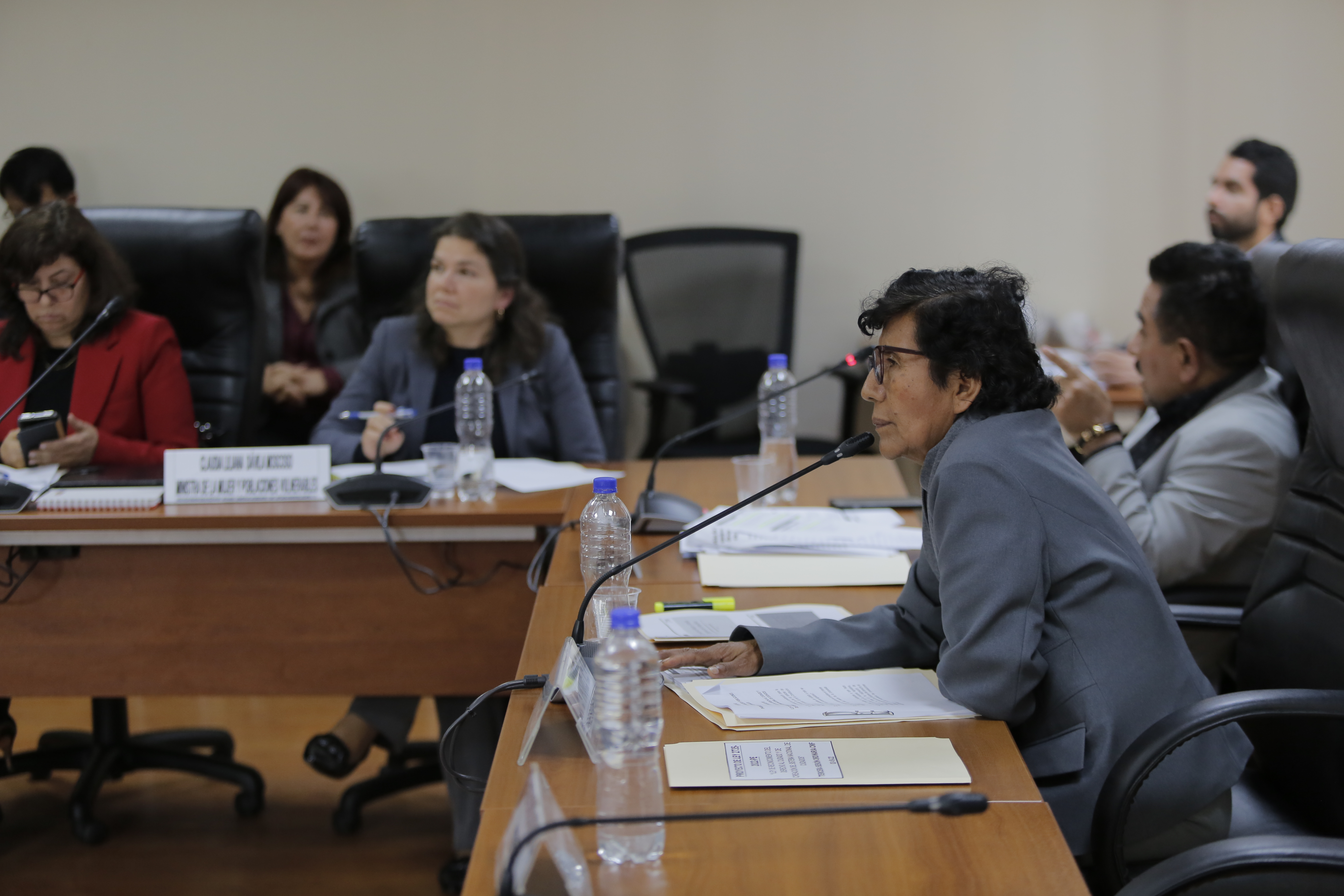 Ministra Claudia Dávila en el Congreso de la República