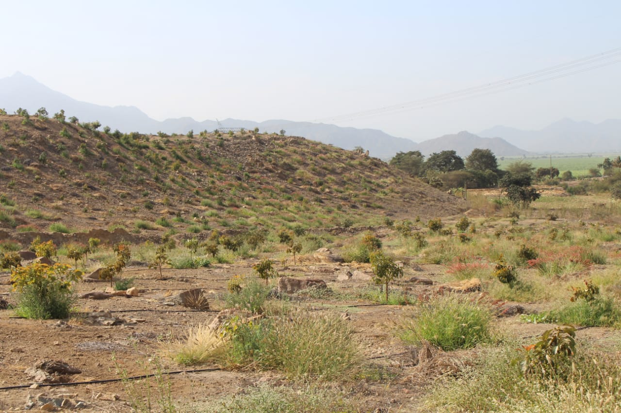 Lambayeque: Ministerio de Cultura Protección Provisional del Sitio Arqueológico Campo Boris