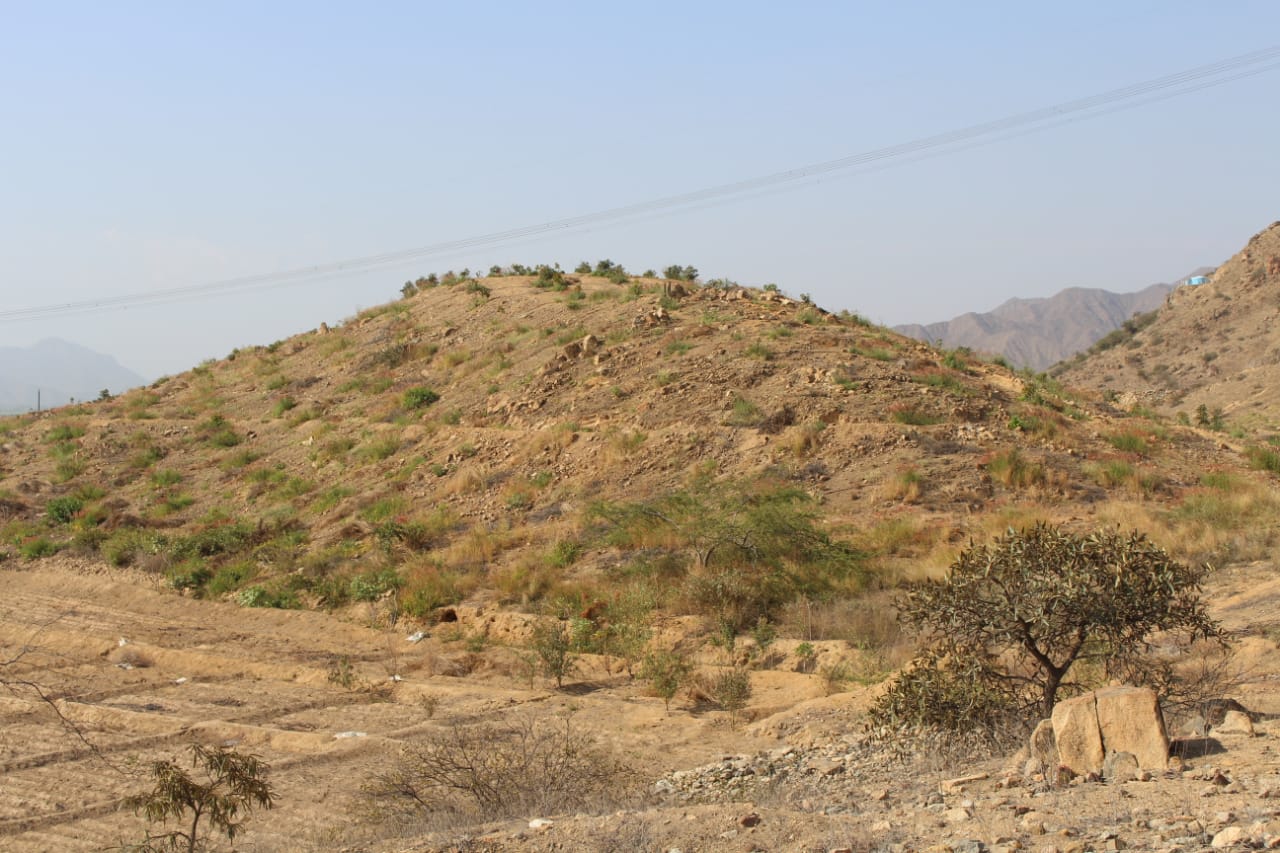 Lambayeque: Ministerio de Cultura Protección Provisional del Sitio Arqueológico Campo Boris