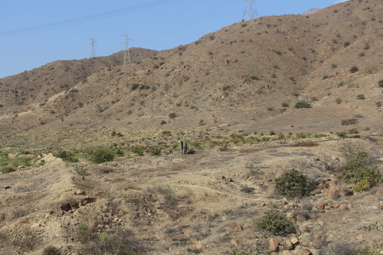 Lambayeque: Ministerio de Cultura Protección Provisional del Sitio Arqueológico Campo Boris