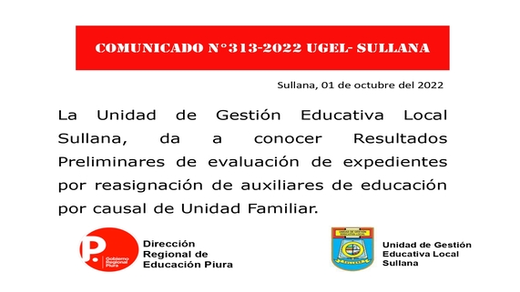 Comunicado 313