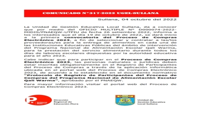 Comunicado 317