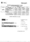 Vista preliminar de documento RESUMEN DE EJECUCION PRESUPUESTAL GASTOS AL MES DE ENERO 2021