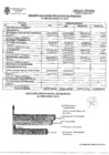 Vista preliminar de documento RESUMEN EJECUCION PRESUPUESTAL INGRESOS AL MES DE ENERO 2021