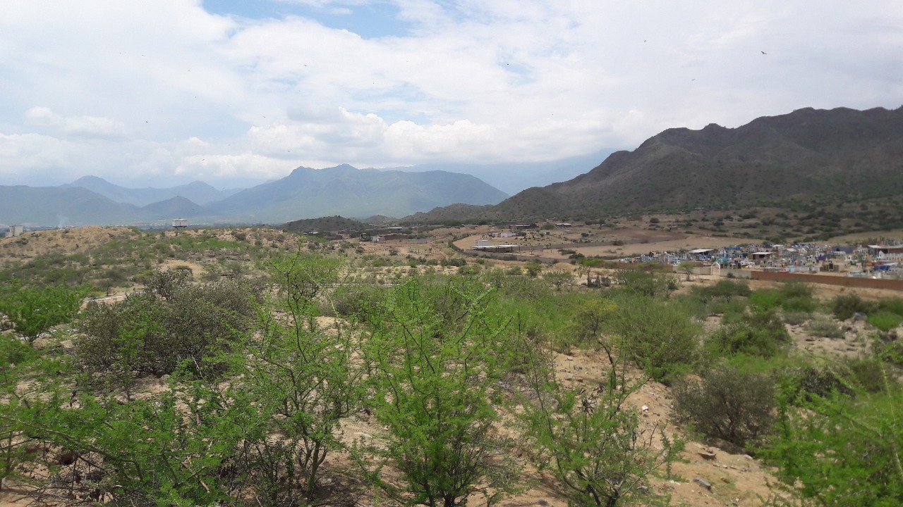 Lambayeque: Ministerio de Cultura determina la Protección Provisional del Sitio Arqueológico Nueva Arica A (El Pueblo)