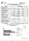 Vista preliminar de documento RESUMEN EJECUCION PRESUPUESTAL INGRESOS AL MES DE FEBRERO 2021