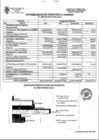 Vista preliminar de documento RESUMEN EJECUCION PRESUPUESTAL INGRESOS AL MES DE MAYO 2021