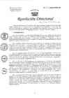 Vista preliminar de documento RESOLUCION DIRECTORAL N° 254-2022.pdf