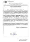 Vista preliminar de documento Saldos de Balance 2021 (Aviso de Sinceramiento) - 3