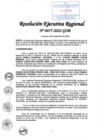 Vista preliminar de documento RER-477-2022.pdf