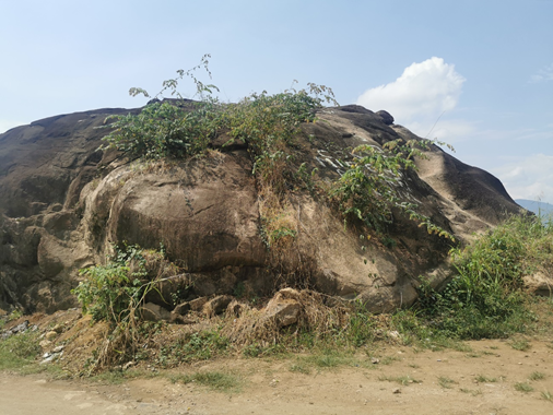 Ministerio de Cultura determina la Protección Provisional del Paisaje Arqueológico de Petroglifos de San Martín de Pangoa