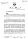 Vista preliminar de documento RESOLUCION DIRECTORAL N° 323-2022[R] (1)[R][R][R][R][R].pdf