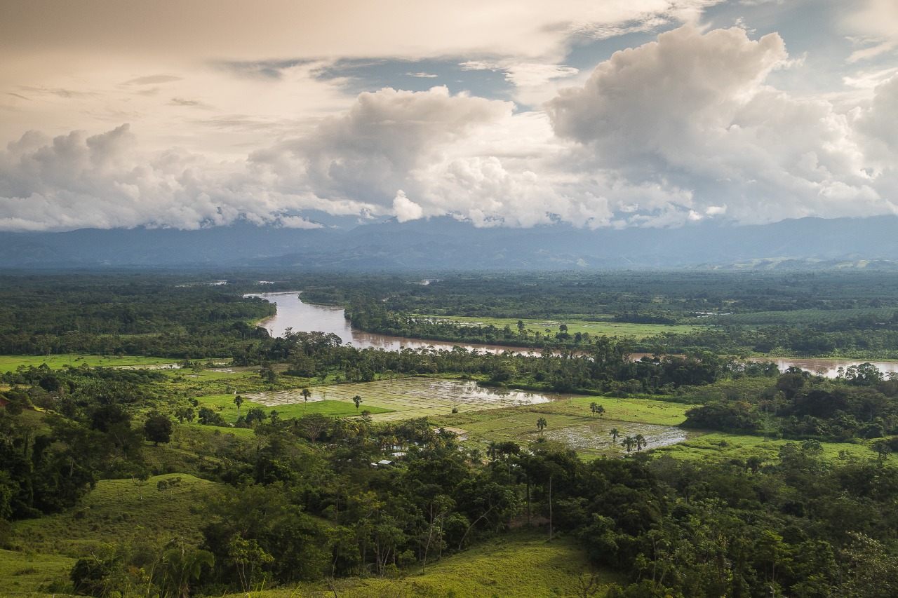 Foto bosques tropicales