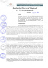 Vista preliminar de documento RDR 272-2022