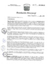 Vista preliminar de documento RD 233-2017-HNAL-DG.pdf