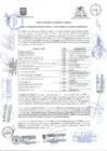 Vista preliminar de documento ACTA_COPROSEC_01B-2019