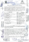 Vista preliminar de documento ACTA_COPROSEC_02-2019