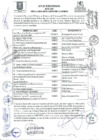 Vista preliminar de documento ACTA_COPROSEC_06-2019