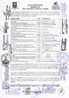 Vista preliminar de documento ACTA_COPROSEC_13-2019
