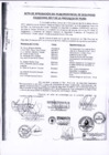 Vista preliminar de documento ACTA_COPROSEC_05-2017