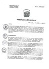 Vista preliminar de documento RD 240-2017-HNAL-DG.pdf