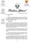 Vista preliminar de documento RJ N° 134 - Comité Subdirección SIG.pdf