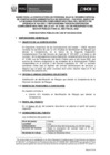 Vista preliminar de documento Bases del Concurso de CAS N° 049-2022-OSCE