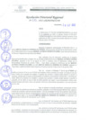 Vista preliminar de documento RDR 273-2022