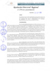 Vista preliminar de documento RDR 274-2022