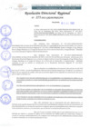 Vista preliminar de documento RDR 275-2022.