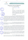 Vista preliminar de documento RDR 276-2022