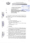 Vista preliminar de documento DICTAMEN-001-2020-MPC.pdf