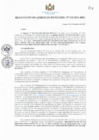 Vista preliminar de documento RESOLUCIONES-GERENCIALES-219-2021-MPC.pdf