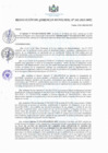 Vista preliminar de documento RESOLUCIONES-GERENCIALES-101-2022-MPC.pdf