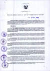 Vista preliminar de documento RGR N°00552-2019-GRDS