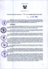 Vista preliminar de documento RGR N°00541-2019-GRDS