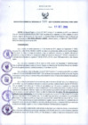 Vista preliminar de documento RGR N°00540-2019-GRDS
