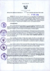 Vista preliminar de documento RGR N°00538-2019-GRDS
